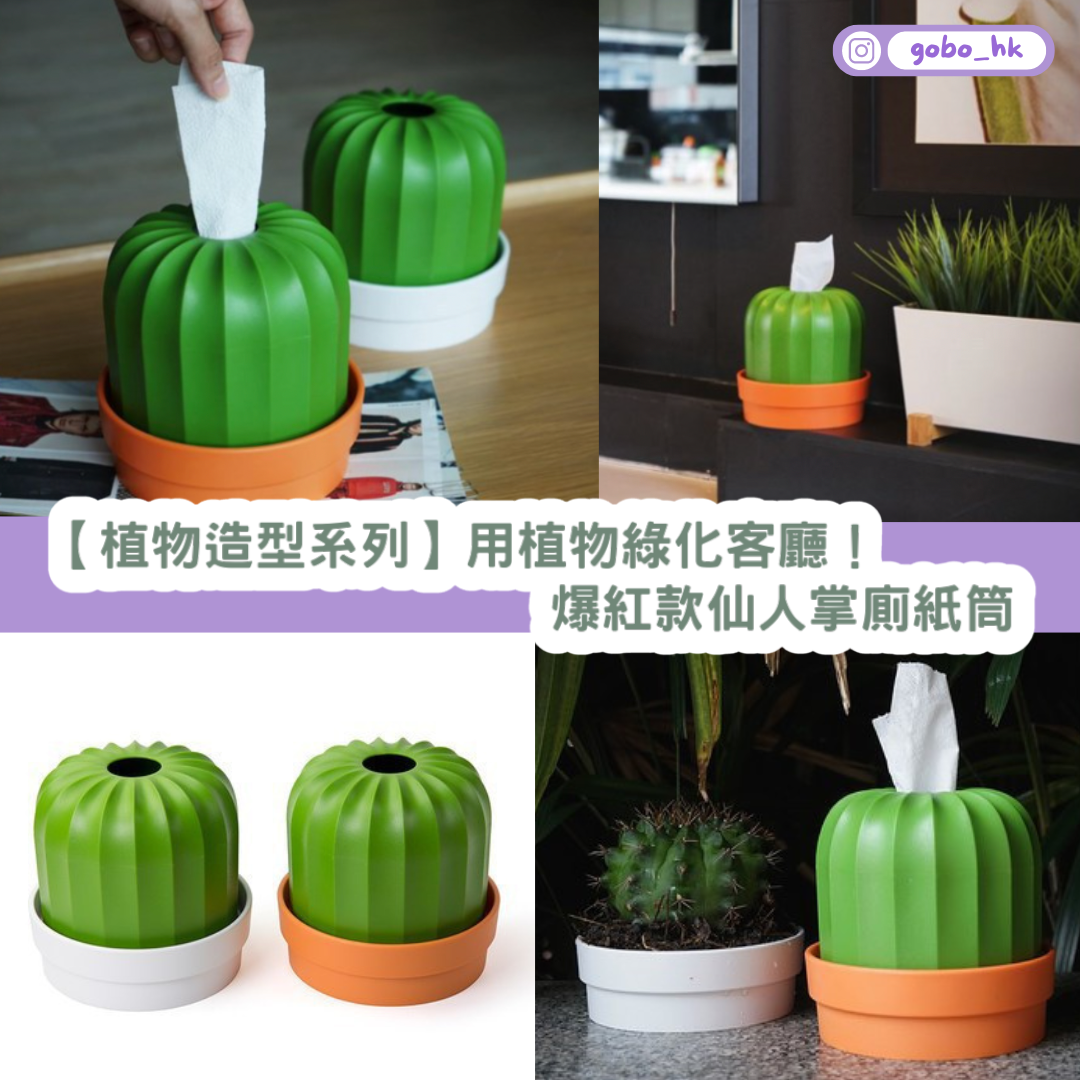 【植物造型系列】用植物綠化客廳!爆紅款仙人掌廁紙筒
