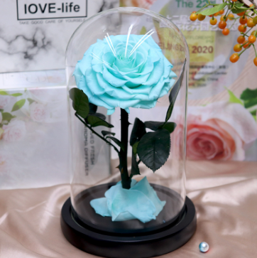 【聖誕限定首10個半價發售】【送禮專用】玫瑰乾花玻璃座|永久保存你的愛意